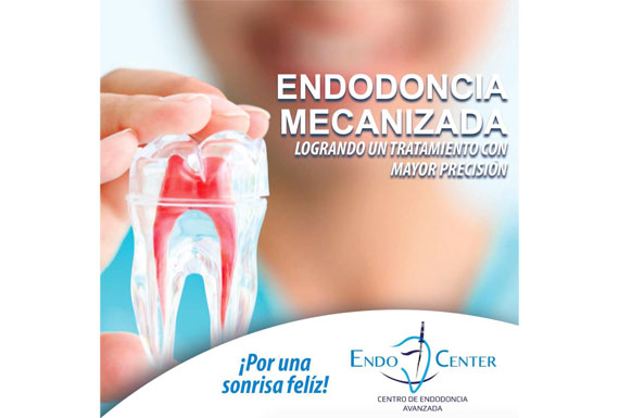 02_banners_lorena_salas